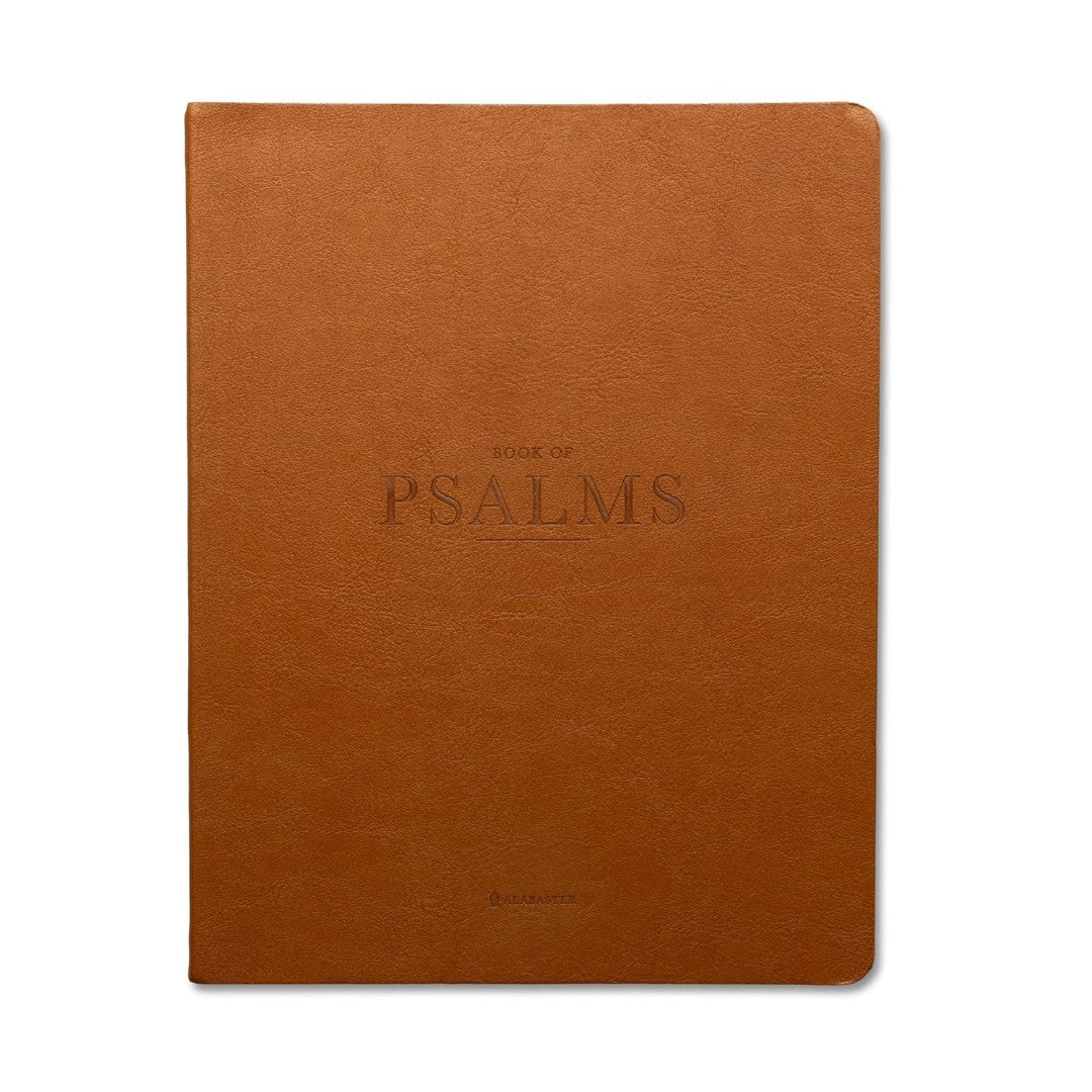 The Book of Psalms (NLT) Imitation Leather