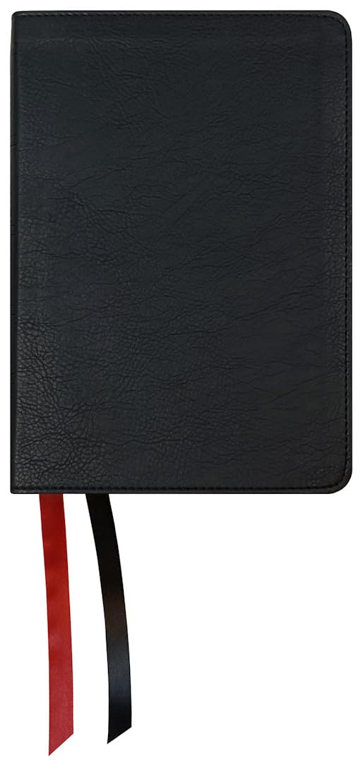 NASB 2020 Large Print Compact Bible, Black - Re-vived
