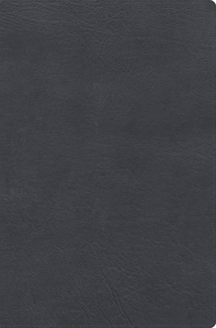 RVR 1960 Biblia De Estudio De Letra Gigante, Negro