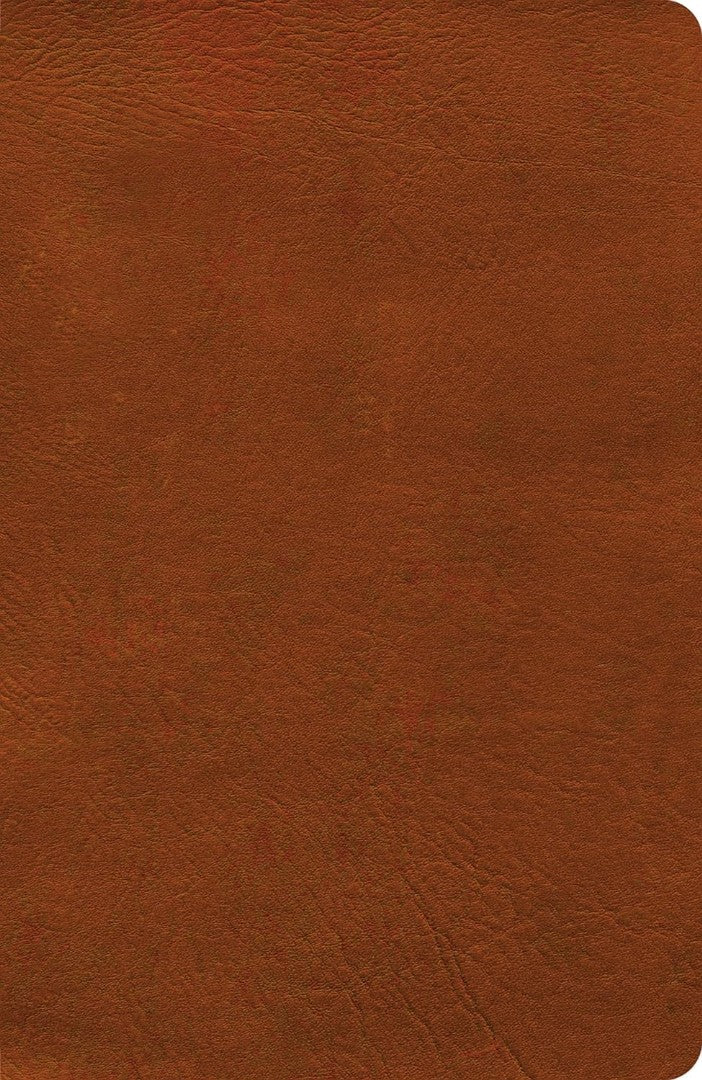 NASB Verse-by-Verse Reference Bible, Burnt Sienna - Re-vived