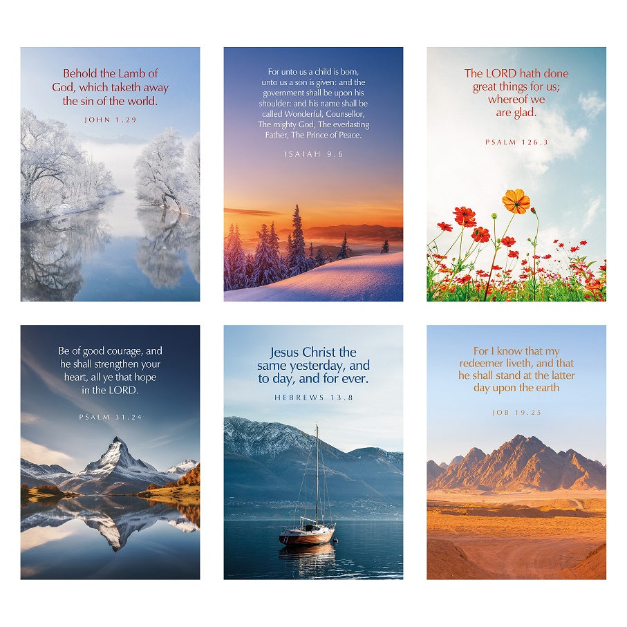 Greetings Cards: S Series (Mixed Pack Of 6)
