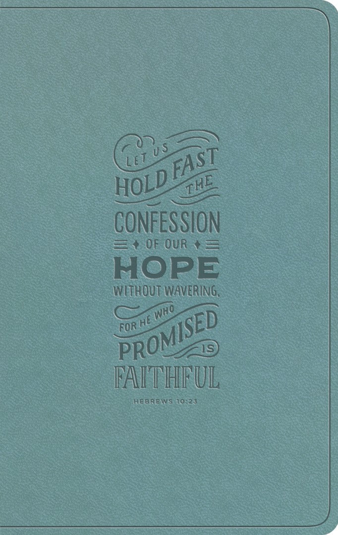 ESV Large Print Value Thinline Bible, Paris Sky