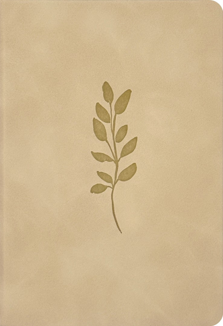 NLT Premium Value Compact Bible, Filament Enabled, Ivory - Re-vived