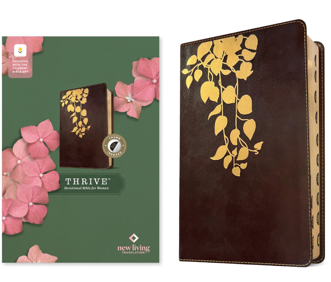 NLT Thrive Devotional Bible for Women, Filament Enabled - Re-vived