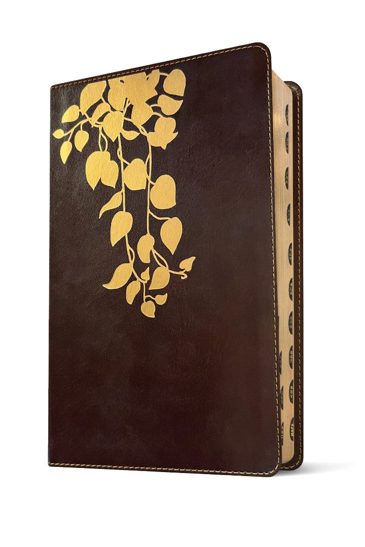 NLT Thrive Devotional Bible for Women, Filament Enabled - Re-vived