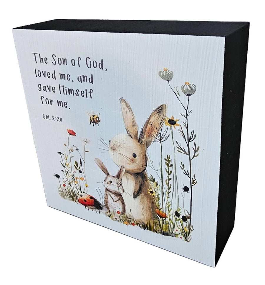 The Son Of God Loved Me - Rabbit & Mouse - Re-vived