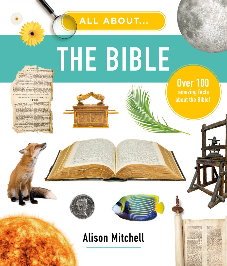 All About The Bible
