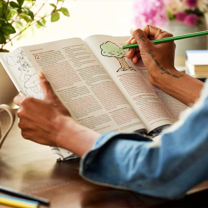 NKJV The Sketchbook Bible - Re-vived