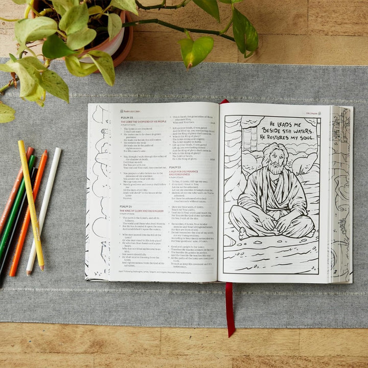 NKJV The Sketchbook Bible - Re-vived