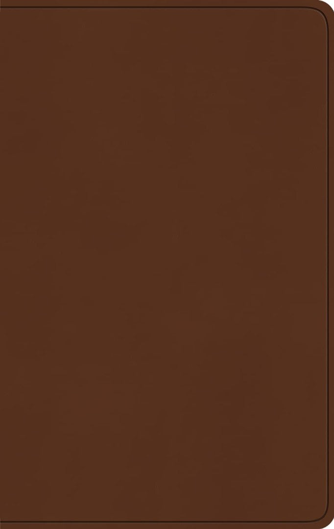 ESV Large Print Value Thinline Bible, Camel