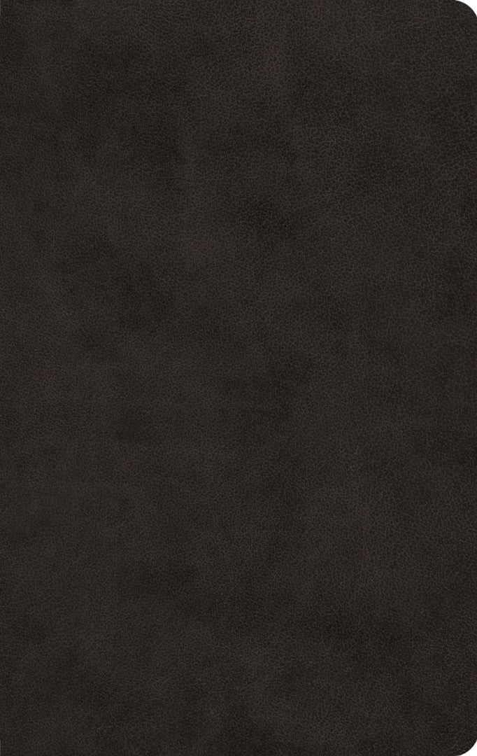 ESV Large Print Value Thinline Bible, Black