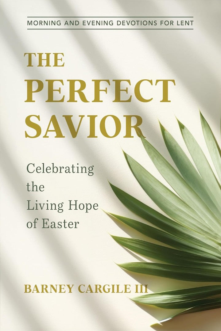 The Perfect Savior - Re-vived