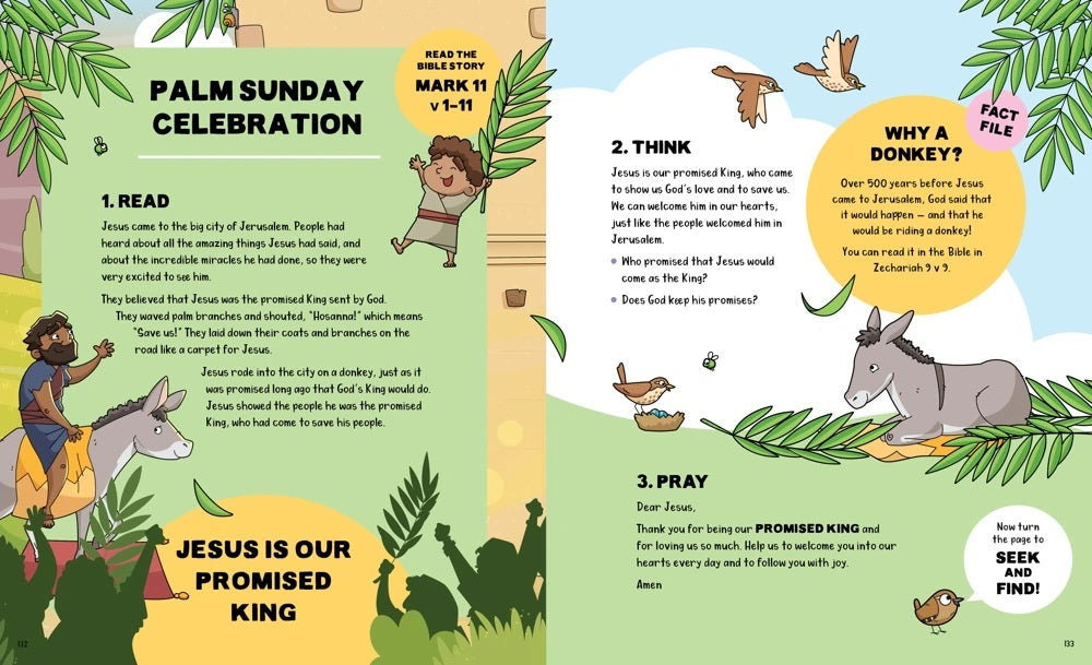 Seek and Find Bible Storybook - Re-vived