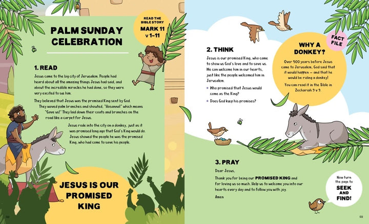Seek and Find Bible Storybook - Re-vived