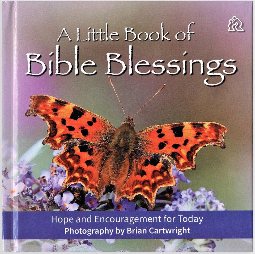 Little Book of Bible Blessings - Re-vived