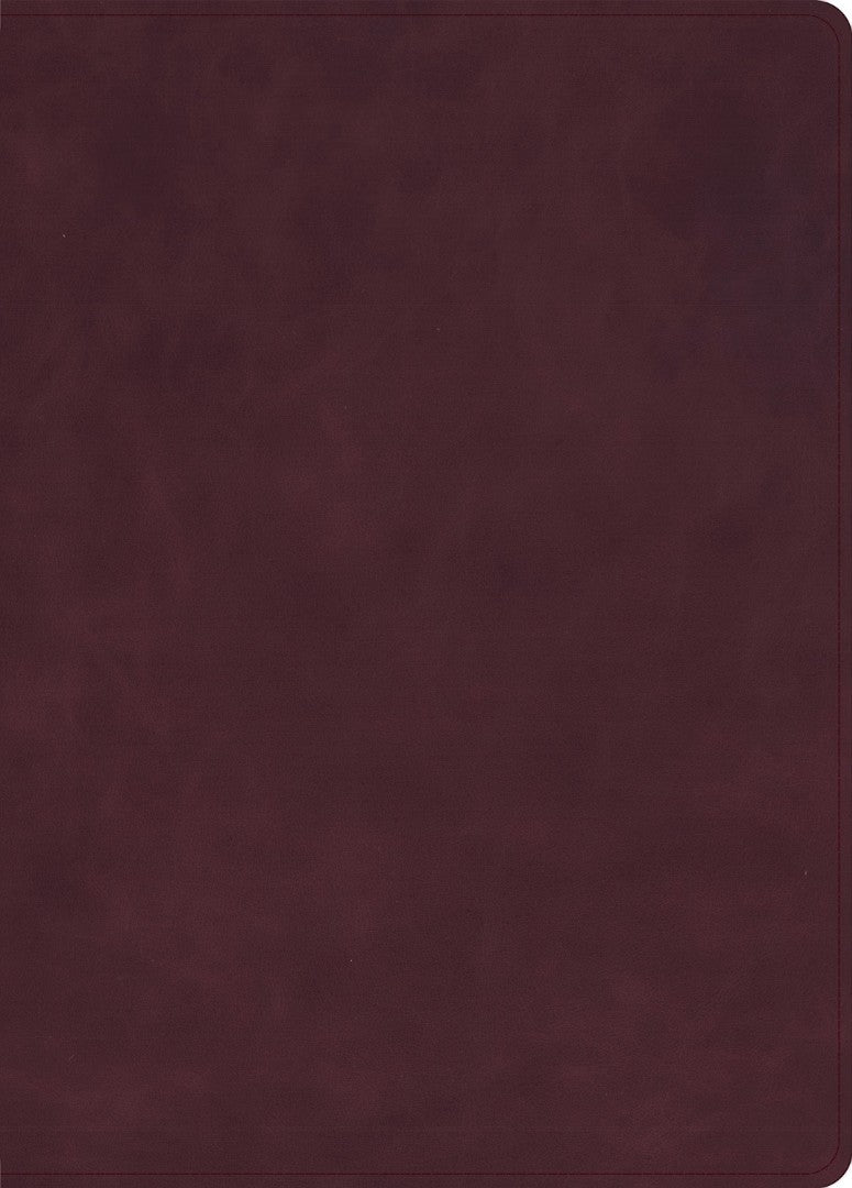KJV Single-Column Wide-Margin Bible, Marbled Burgundy - Re-vived