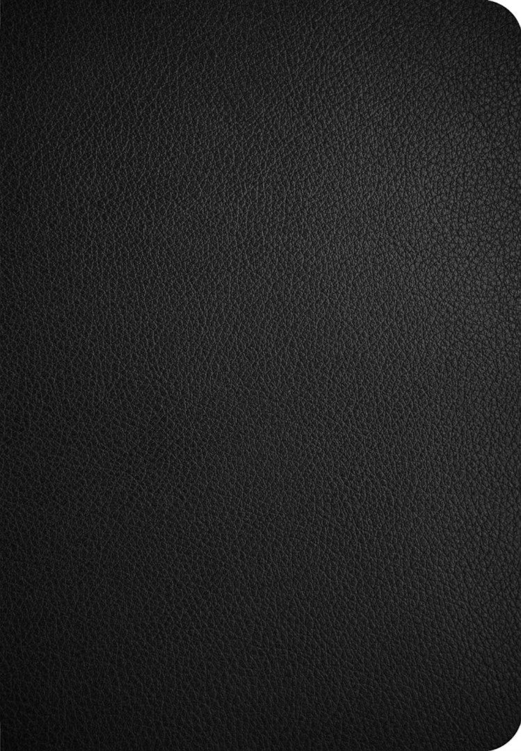 CSB Personal Size Giant Print Bible, Digital Study Ed, Black - Re-vived