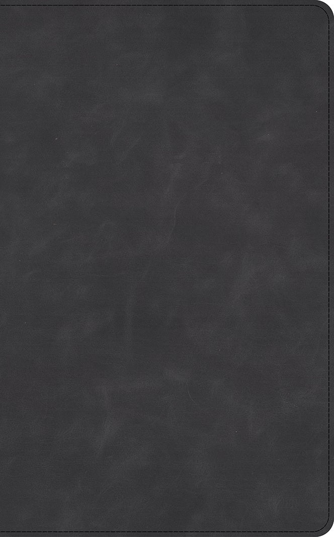 CSB Thinline Bible, Optimal Type, Marbled Slate Calfskin - Re-vived