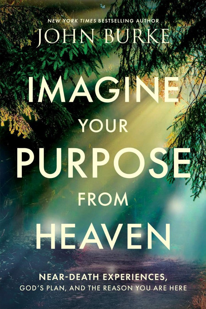 Imagine Your Purpose From Heaven - Re-vived