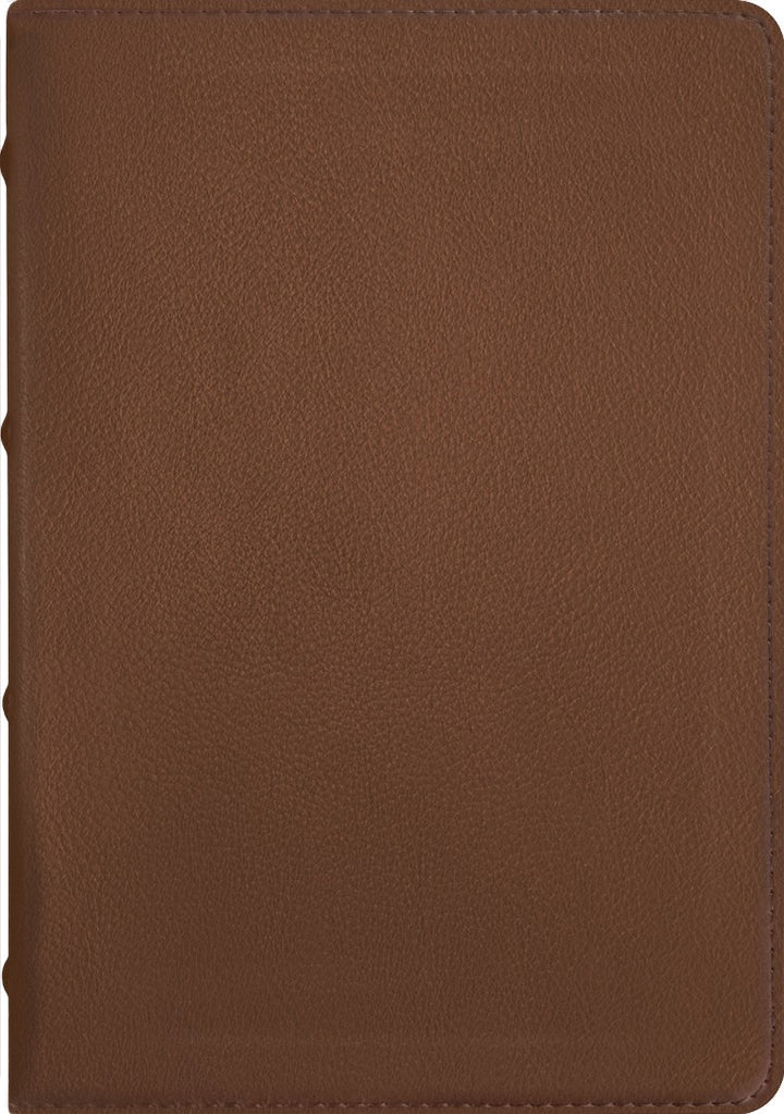 NLT Select Large Print Thinline Reference Bible, Brown - Re-vived