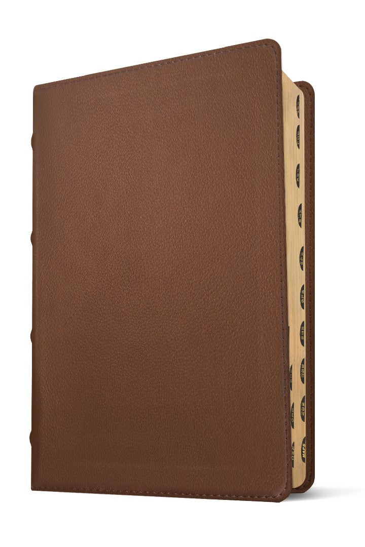 NLT Select Large Print Thinline Reference Bible, Brown - Re-vived