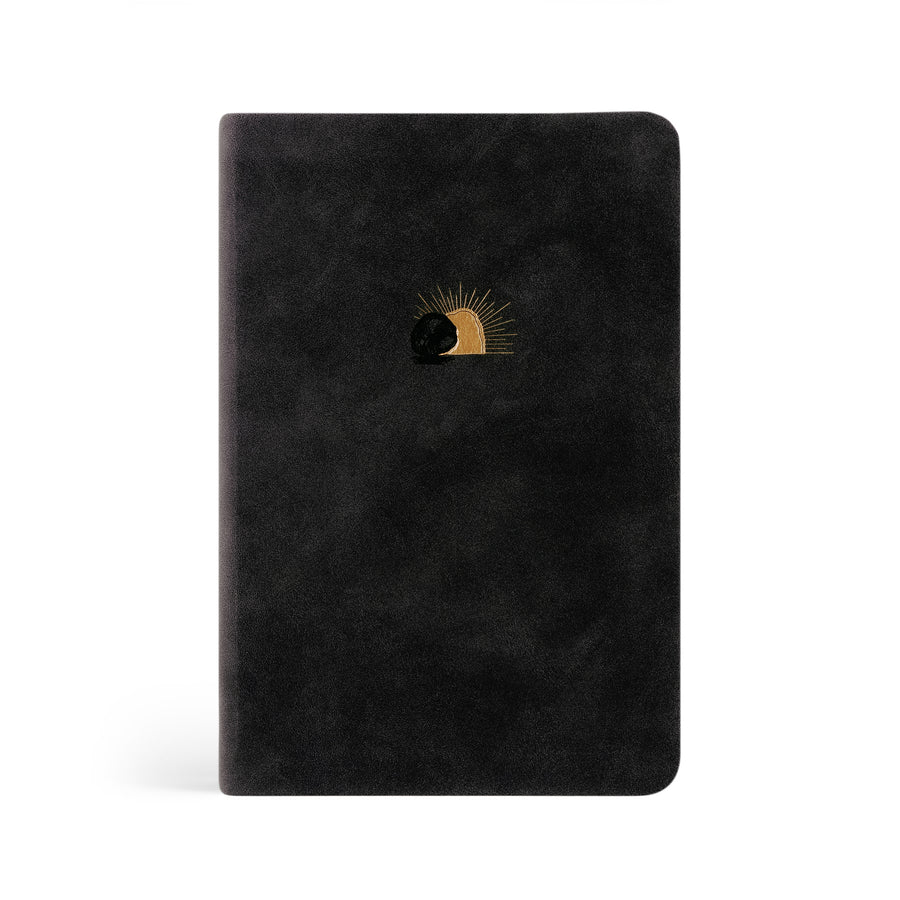 NLT Compact Bible: Jerusalem Theme - Re-vived