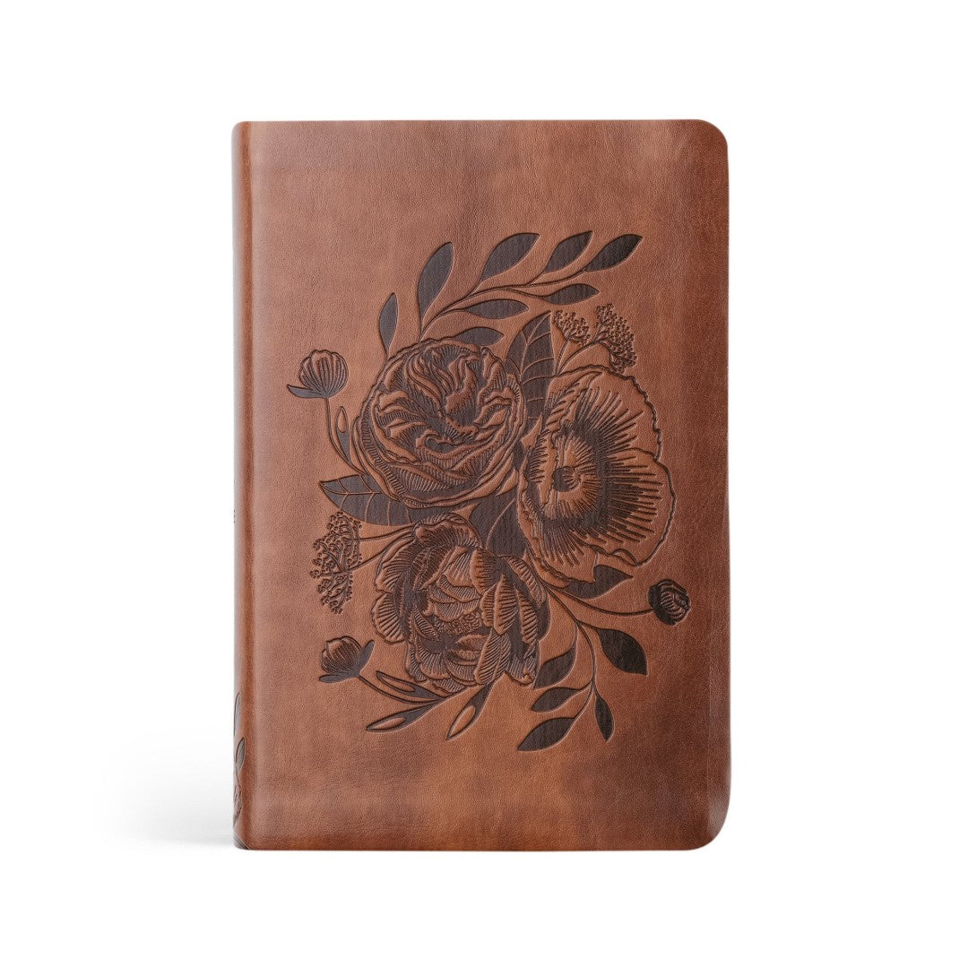 NLT Compact Bible: Aurora Theme - Re-vived