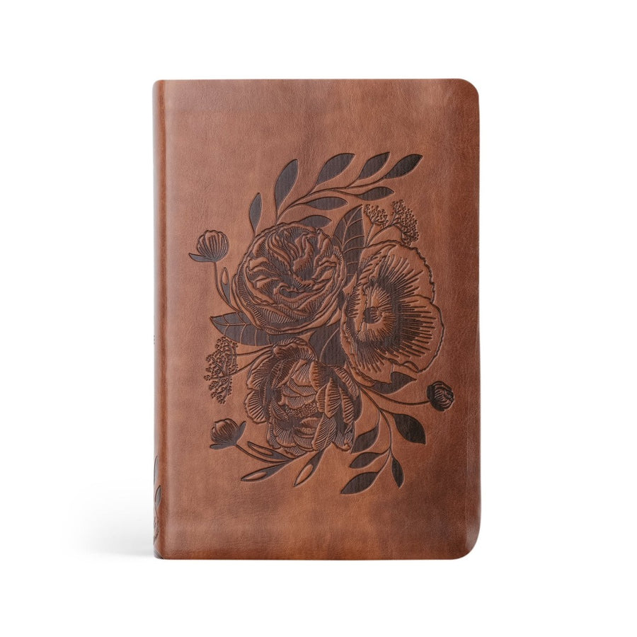 NLT Compact Bible: Aurora Theme - Re-vived