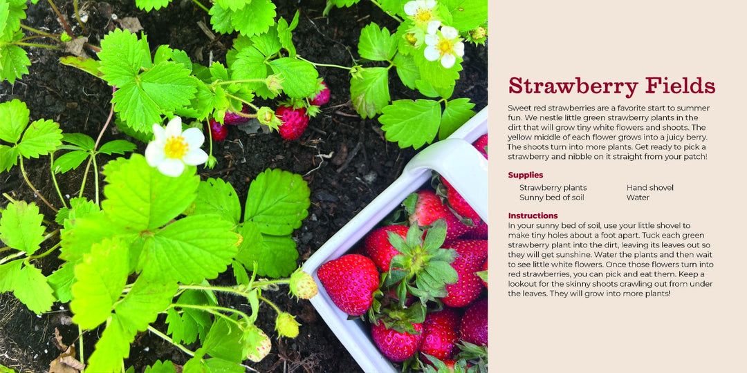 My First Homestead Book of Gardening