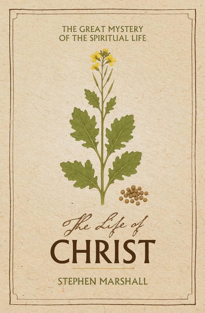 The Life of Christ - Re-vived