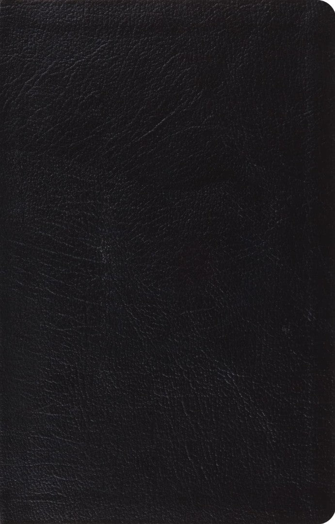 ESV Large Print Thinline Reference Bible, Red Letter