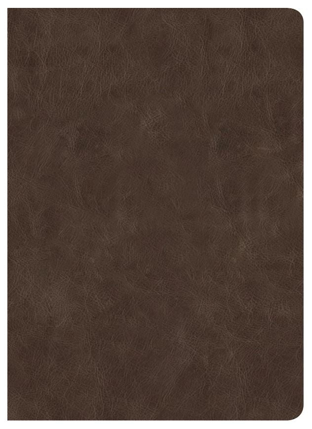 CSB Lumen Dei Bible, Lux Gloriae: Single-Column Wide-Margin