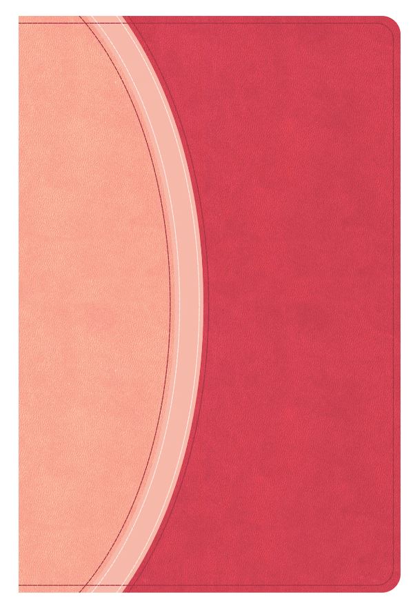 CSB Rainbow Study Bible, Pink Leathertouch, Indexed