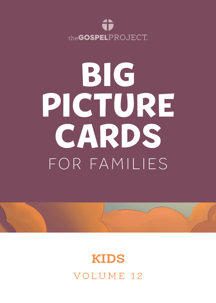 Gospel Project: Kids Big Picture Cards, Summer 2024