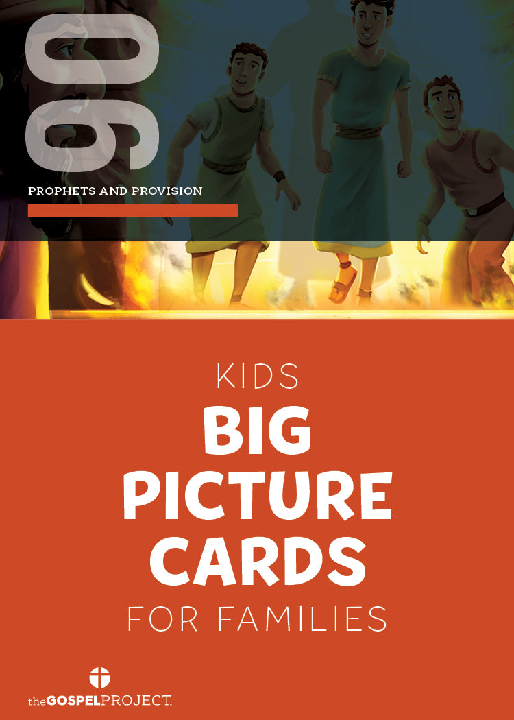 Gospel Project: Kids Big Picture Cards, Winter 2026