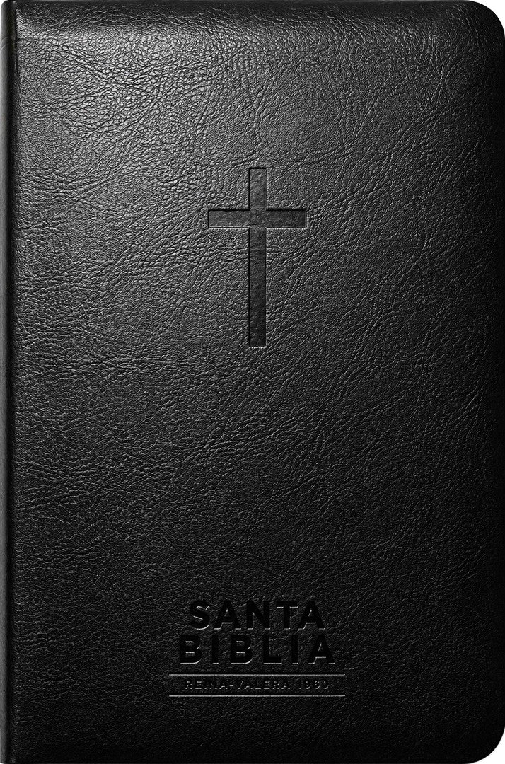 Santa Biblia Reina-Valera 1960 - Visual Con Mapas Mentales