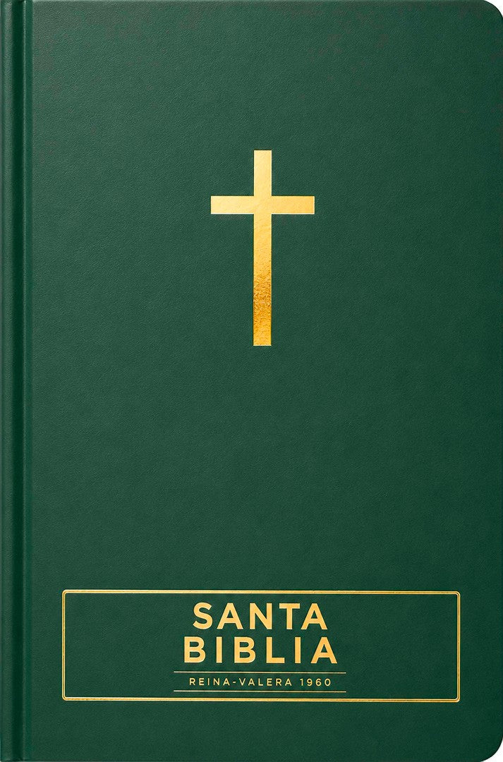 Santa Biblia Reina-Valera 1960 - Visual Con Mapas Mentales