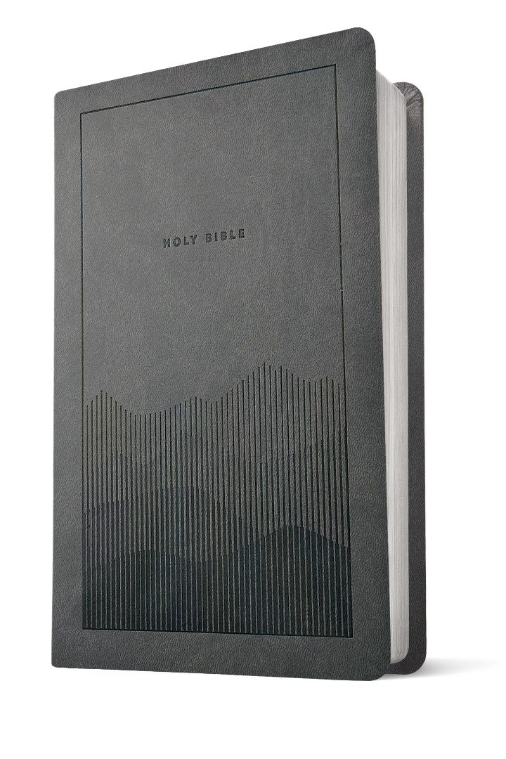 NLT Premium Value Thinline Bible, Filament Enabled, Gray