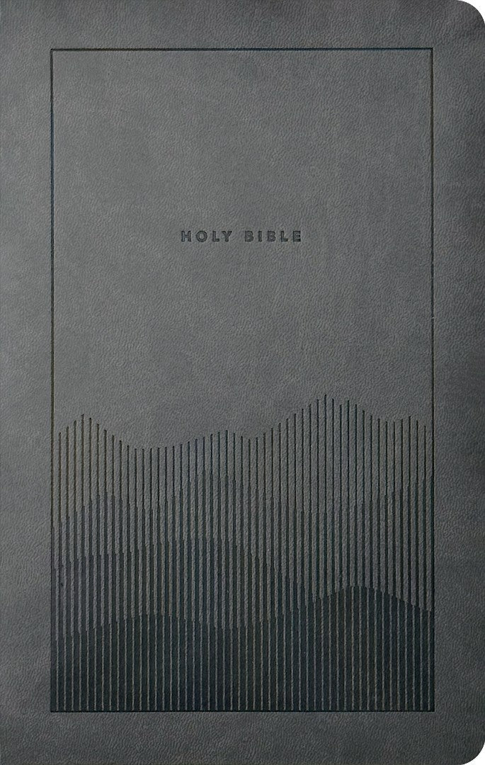 NLT Premium Value Thinline Bible, Filament Enabled, Gray