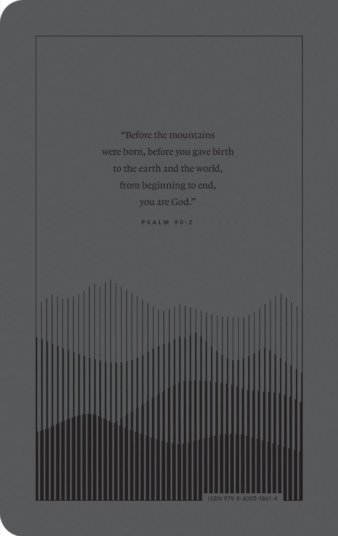 NLT Premium Value Thinline Bible, Filament Enabled, Gray