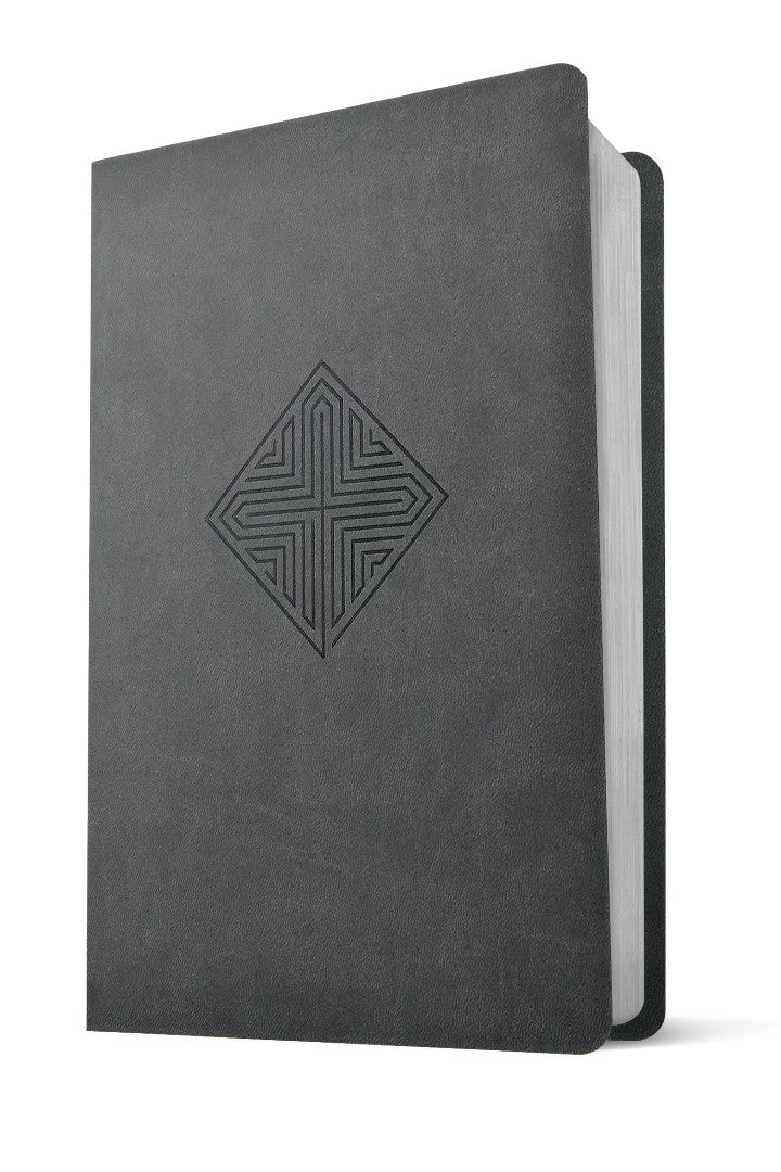NLT Large Print Premium Value Thinline Bible, Gray