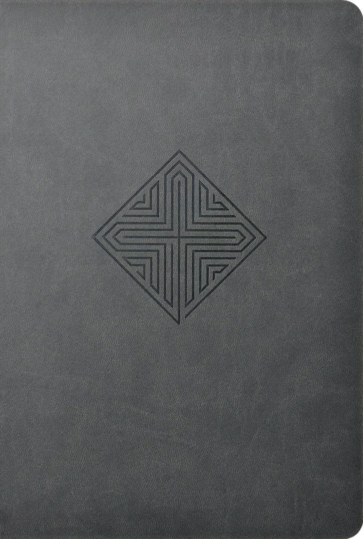 NLT Large Print Premium Value Thinline Bible, Gray