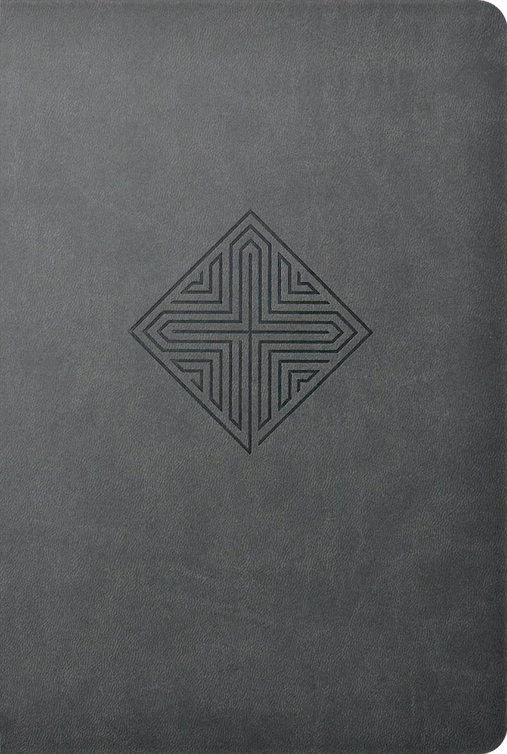 NLT Large Print Premium Value Thinline Bible, Gray