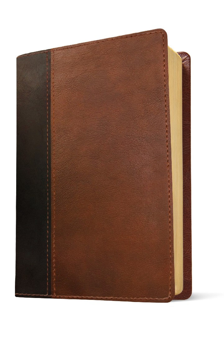 NLT Every Man's Bible, Large Print, Brown/Tan