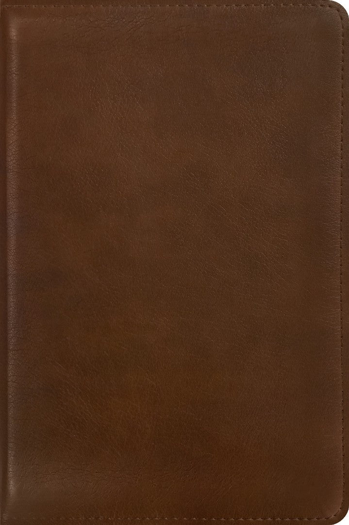 Message Deluxe Gift Zipper Bible, Large Print, Brown