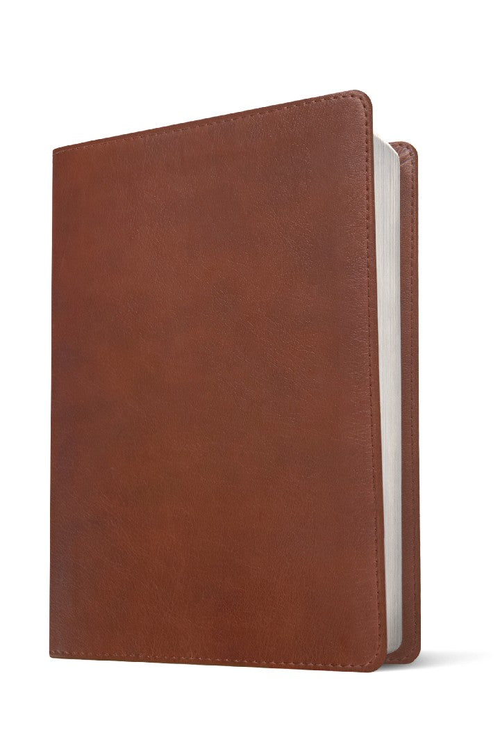 Message Deluxe Gift Bible, Chestnut Brown