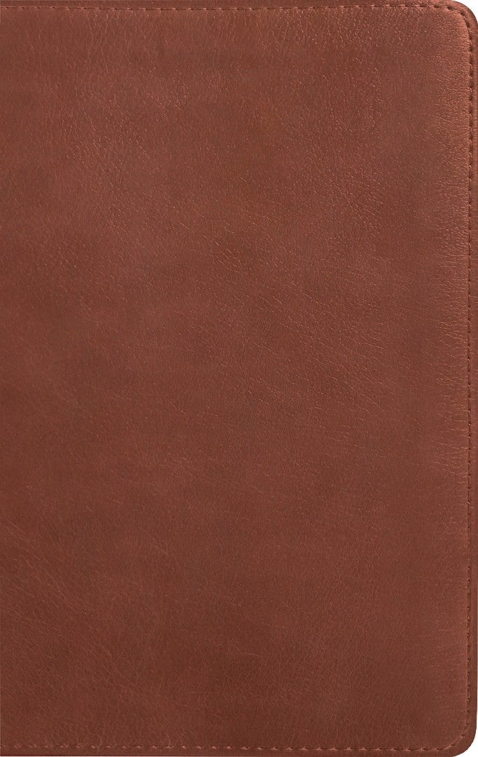 Message Deluxe Gift Bible, Chestnut Brown