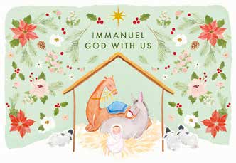 Christmas Boxed Cards: Poinsettia Nativity (Pack Of 16)