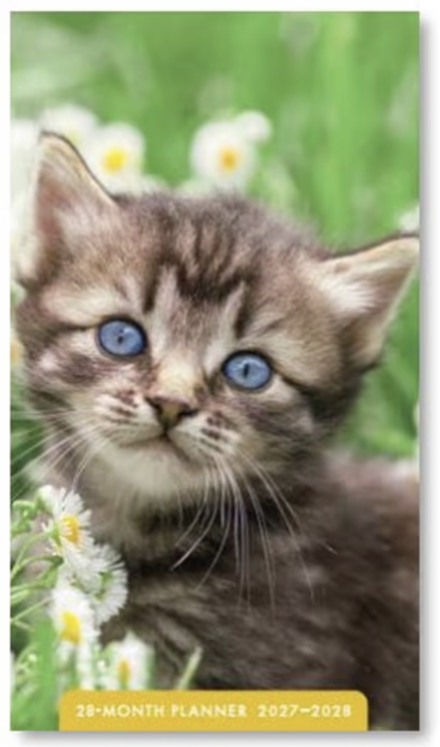 2027-2028 Pocket Planner: Kitten