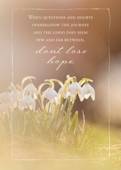 Perfect Peace Boxed Cards (Pack of 12)